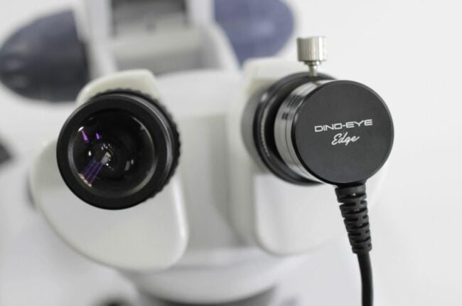 AM7025X in microscope eyepiece slot.